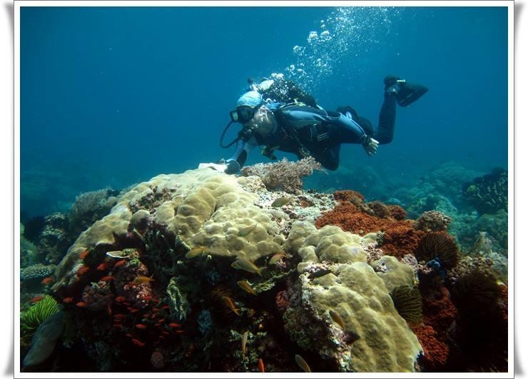 อนิเลา สกูบา ไดฟ์ เซ็นเตอร์ รีสอร์ท Batangas ภายนอก รูปภาพ